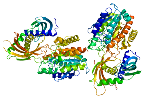 CPA4 (gene)